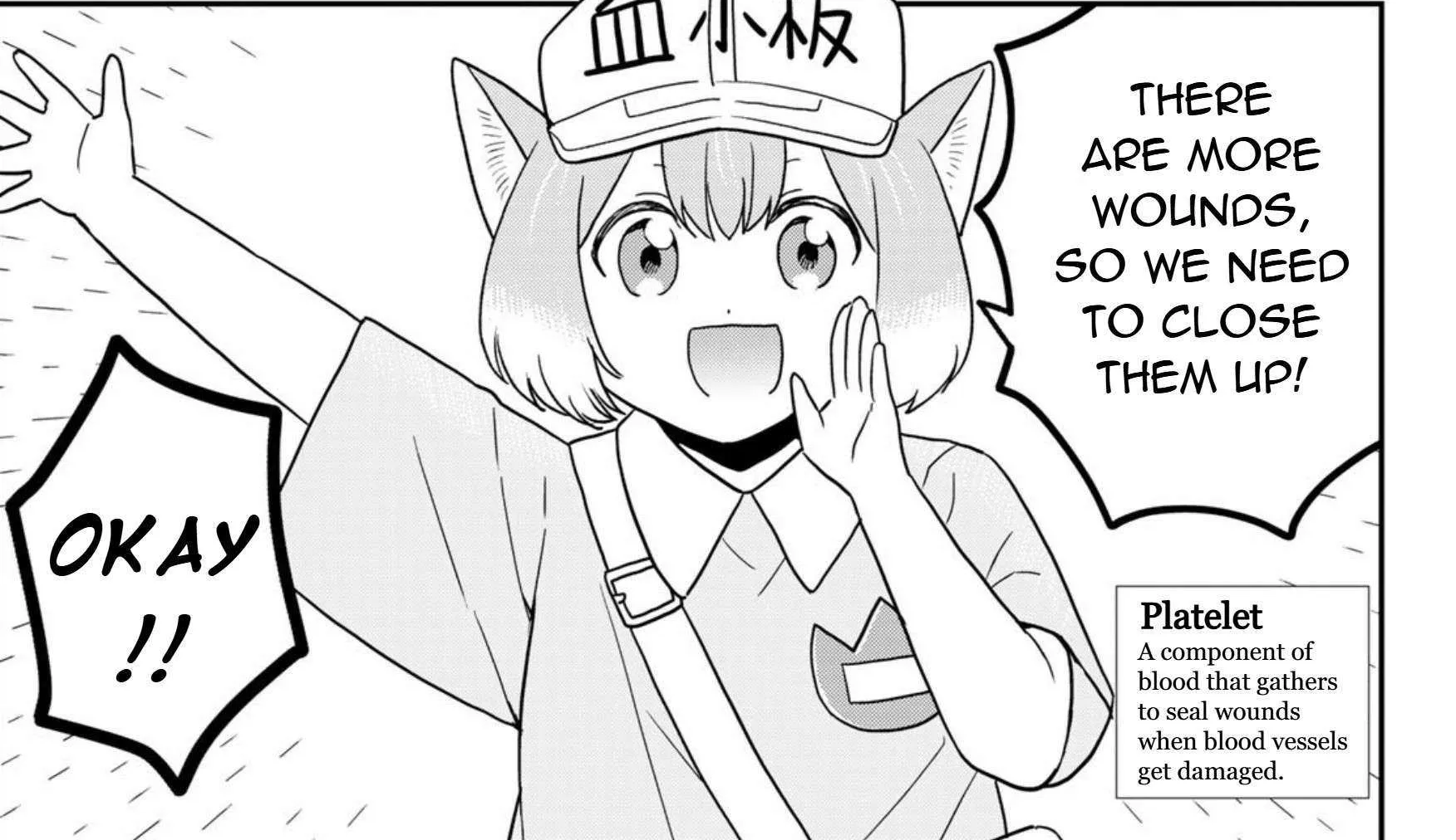 Read Cells at Work! Cat chapter 22 image 27 on Lezhin
