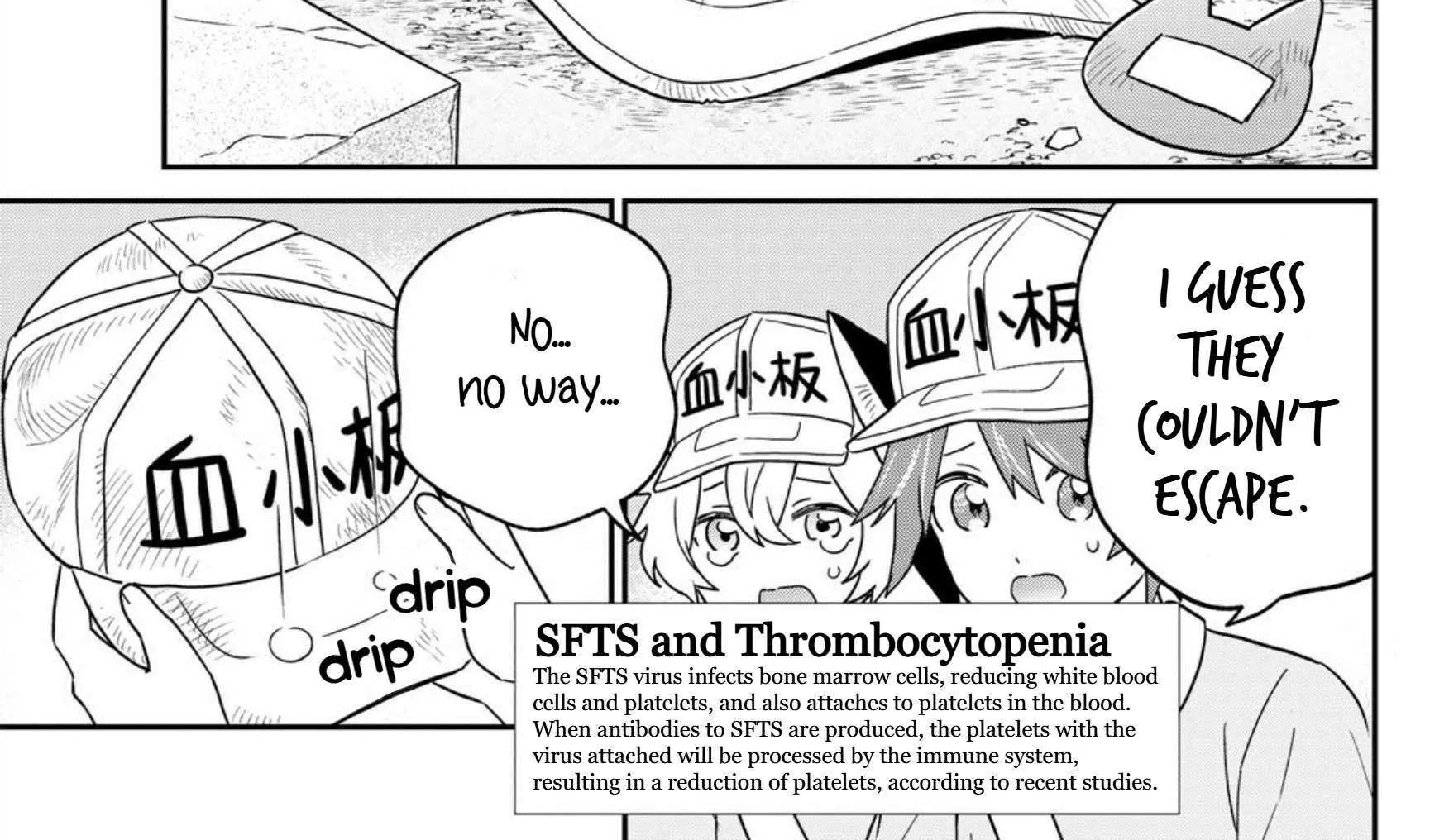 Read Cells at Work! Cat chapter 22 image 57 on Lezhin