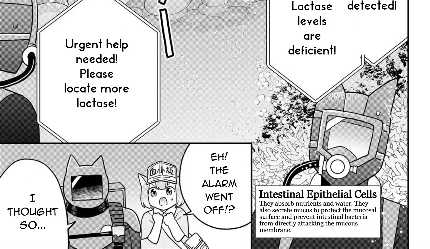 Read Cells at Work! Cat chapter 23 image 25 on Lezhin