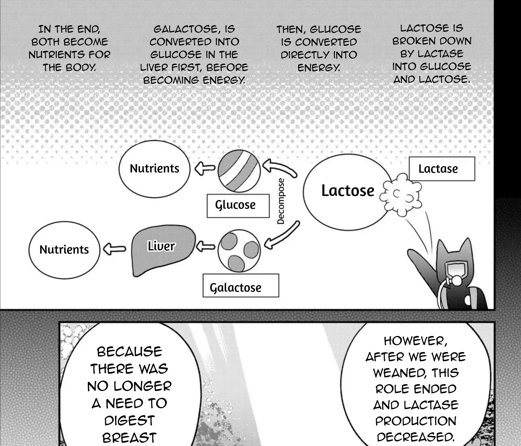 Read Cells at Work! Cat chapter 23 image 28 on Lezhin