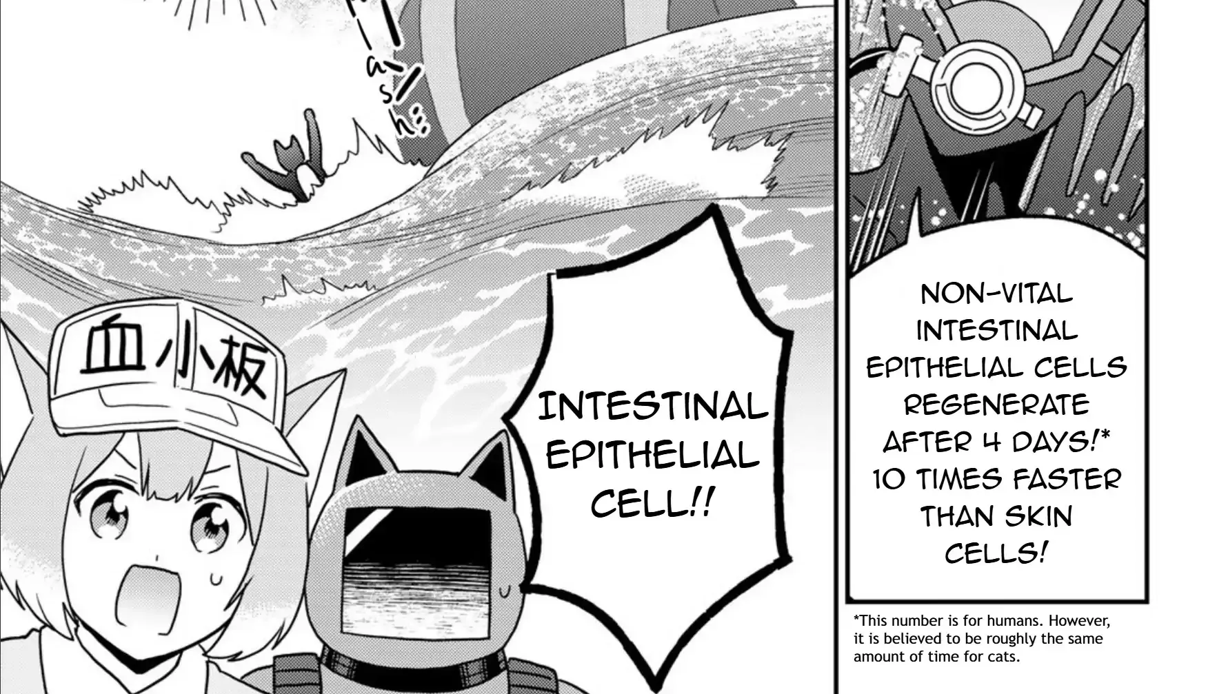 Read Cells at Work! Cat chapter 23 image 41 on Lezhin