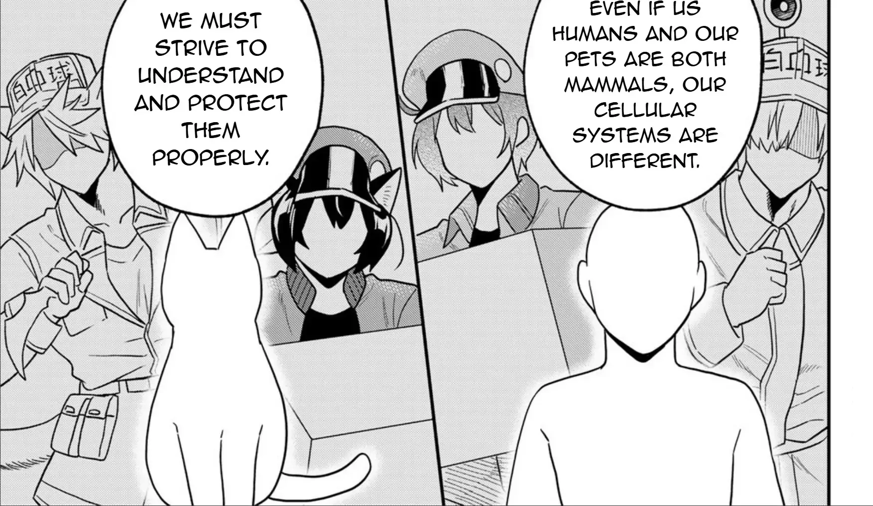 Read Cells at Work! Cat chapter 23 image 53 on Lezhin