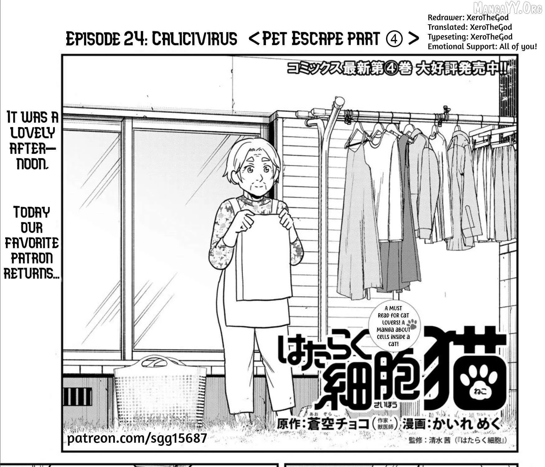 Read Cells at Work! Cat chapter 24 image 1 on Lezhin