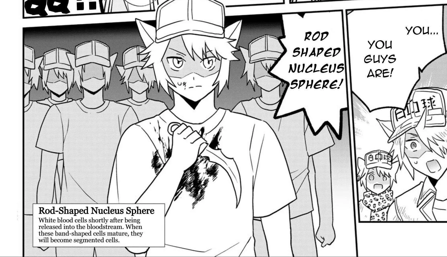 Read Cells at Work! Cat chapter 24 image 12 on Lezhin