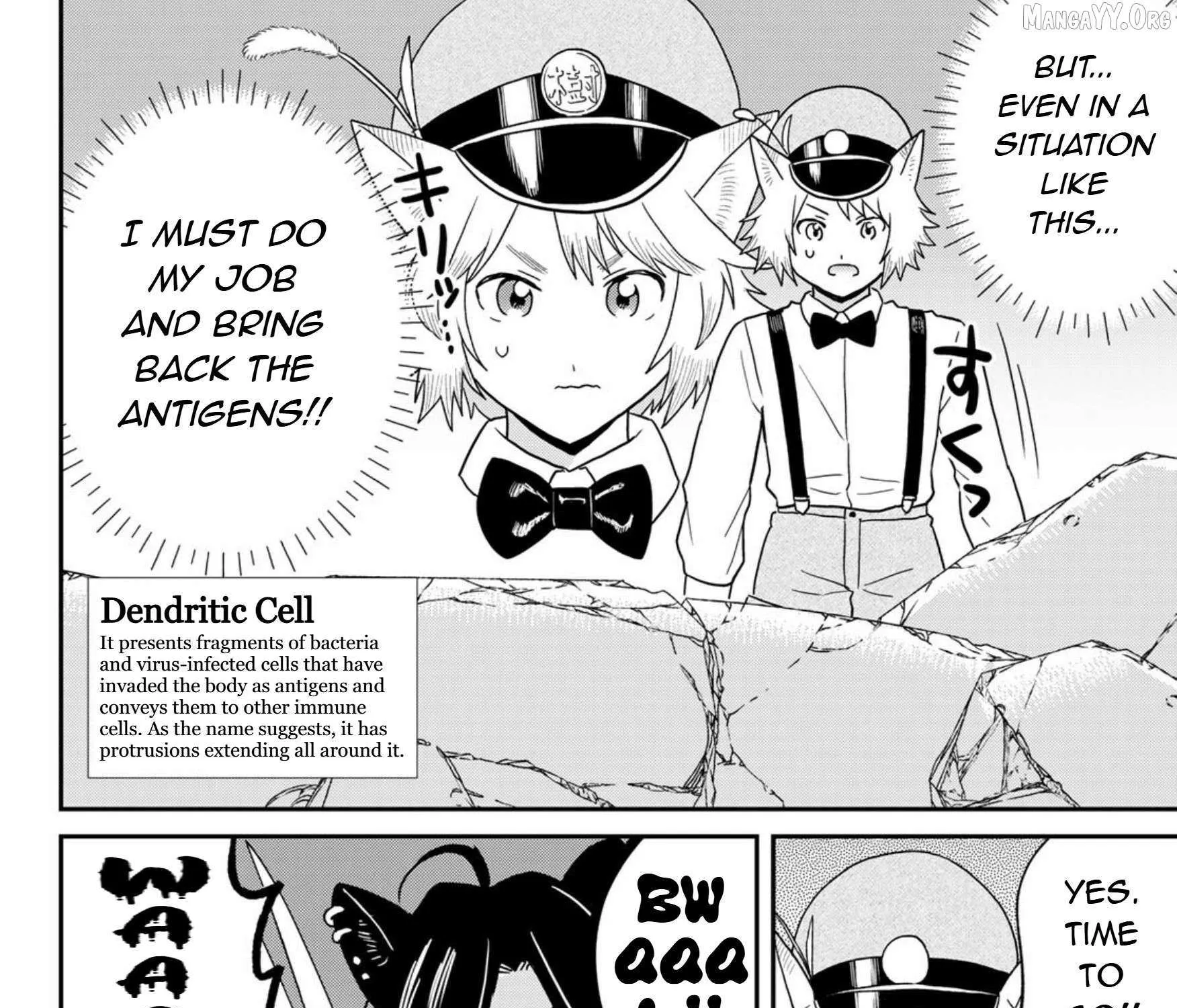 Read Cells at Work! Cat chapter 24 image 15 on Lezhin