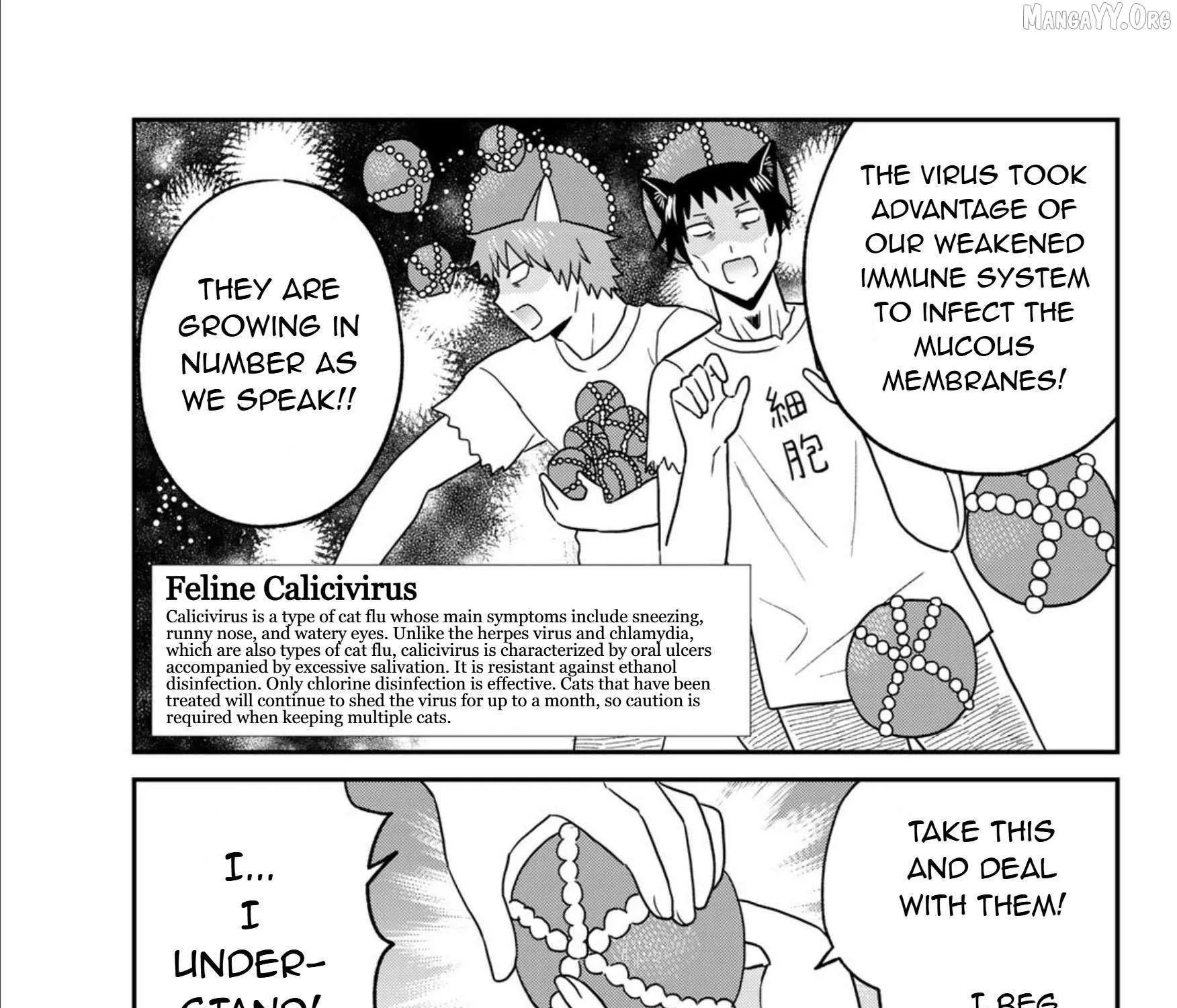 Read Cells at Work! Cat chapter 24 image 25 on Lezhin