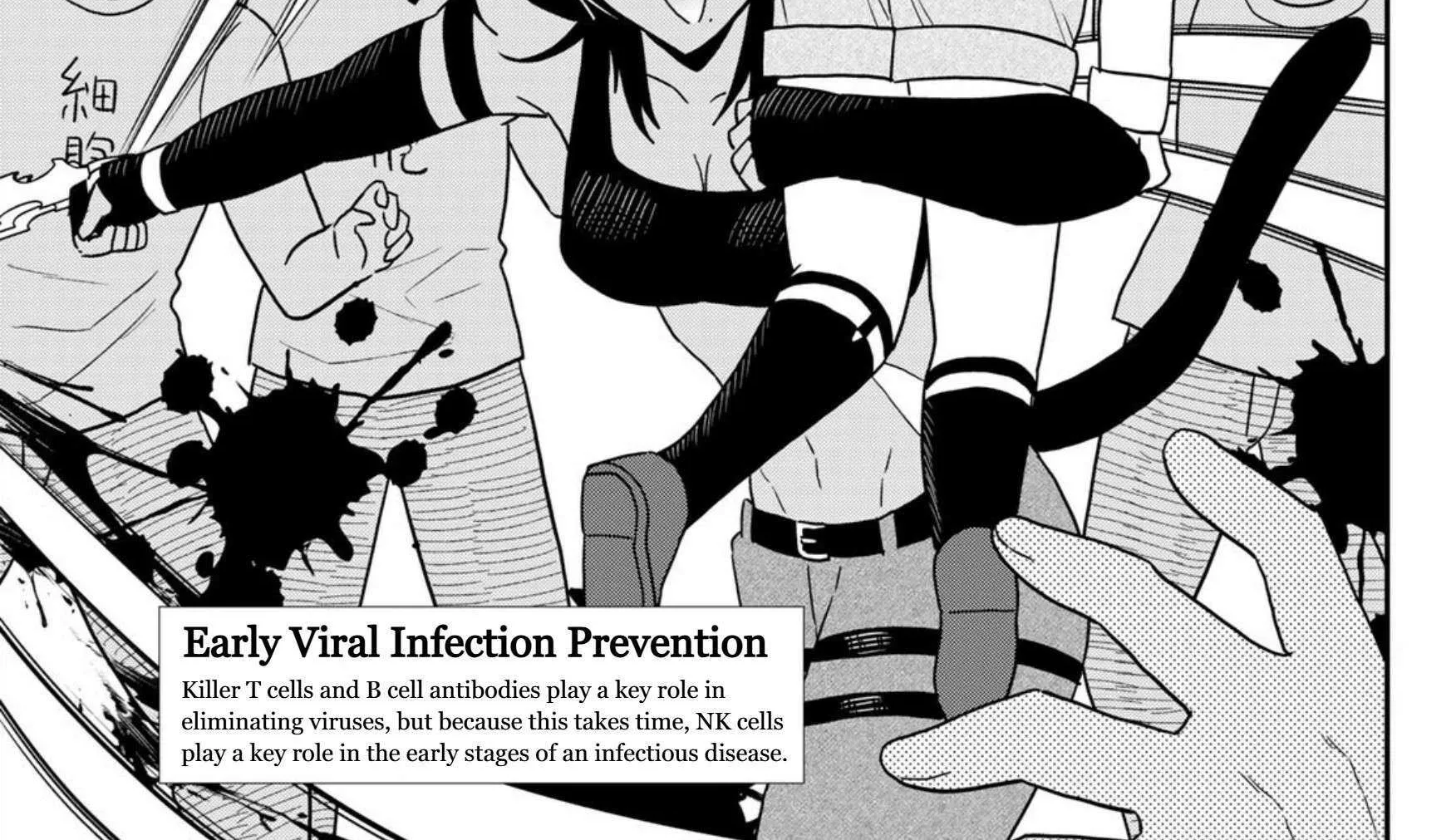 Read Cells at Work! Cat chapter 24 image 34 on Lezhin