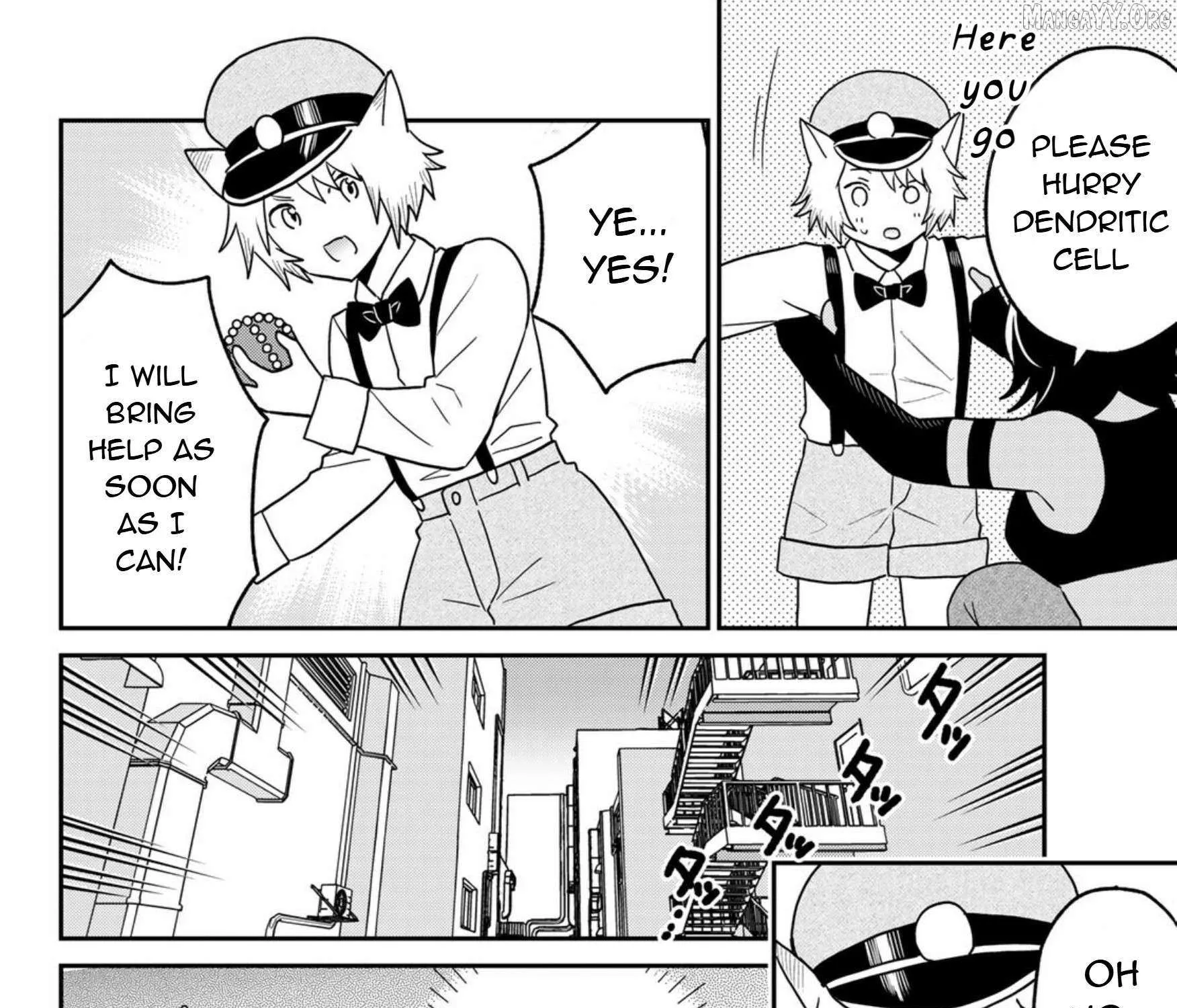 Read Cells at Work! Cat chapter 24 image 35 on Lezhin