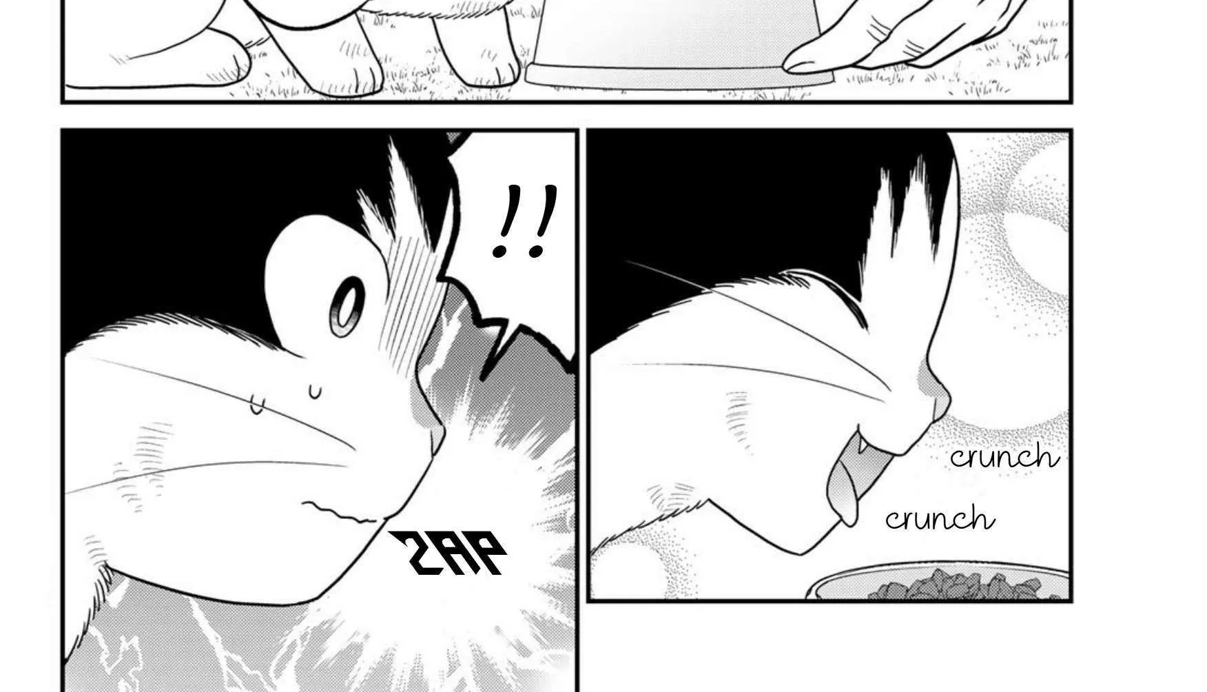 Read Cells at Work! Cat chapter 24 image 4 on Lezhin