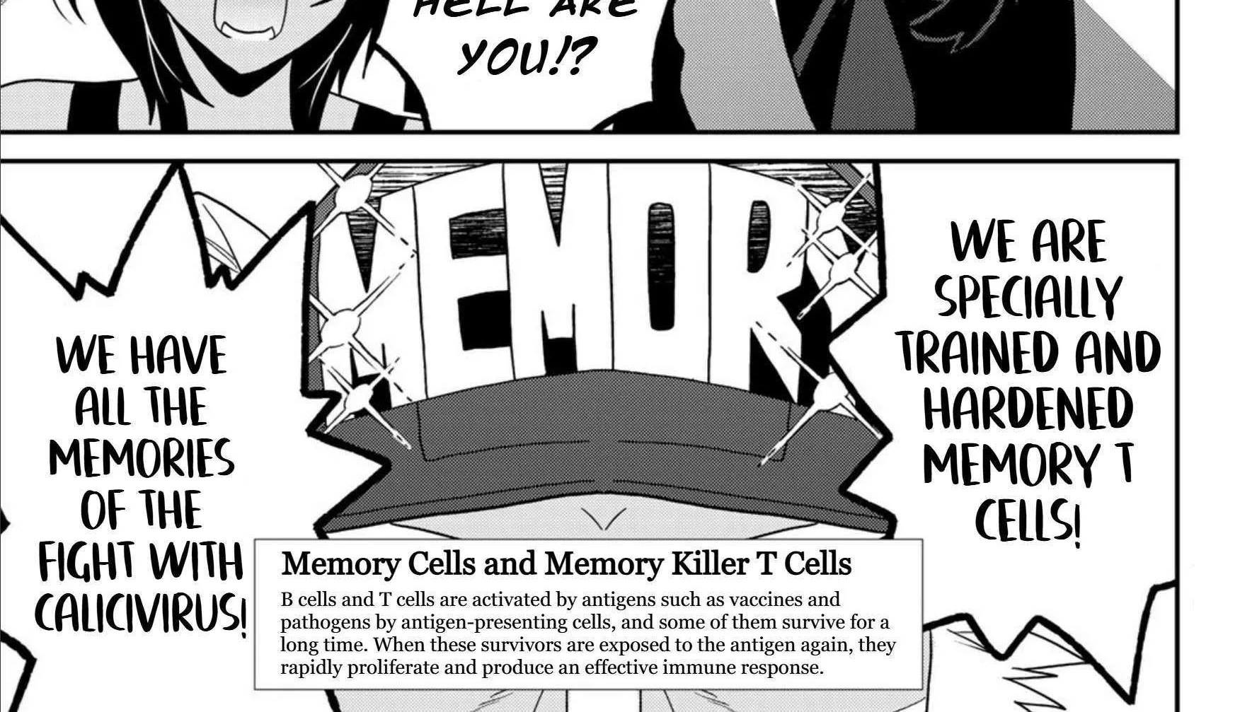 Read Cells at Work! Cat chapter 24 image 54 on Lezhin