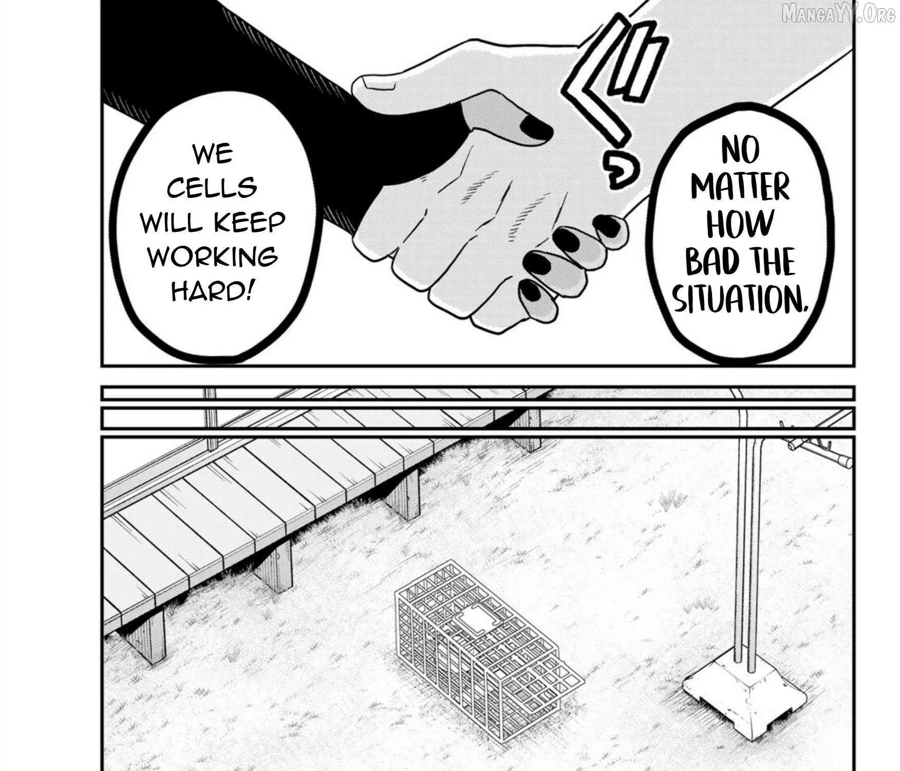 Read Cells at Work! Cat chapter 24 image 61 on Lezhin