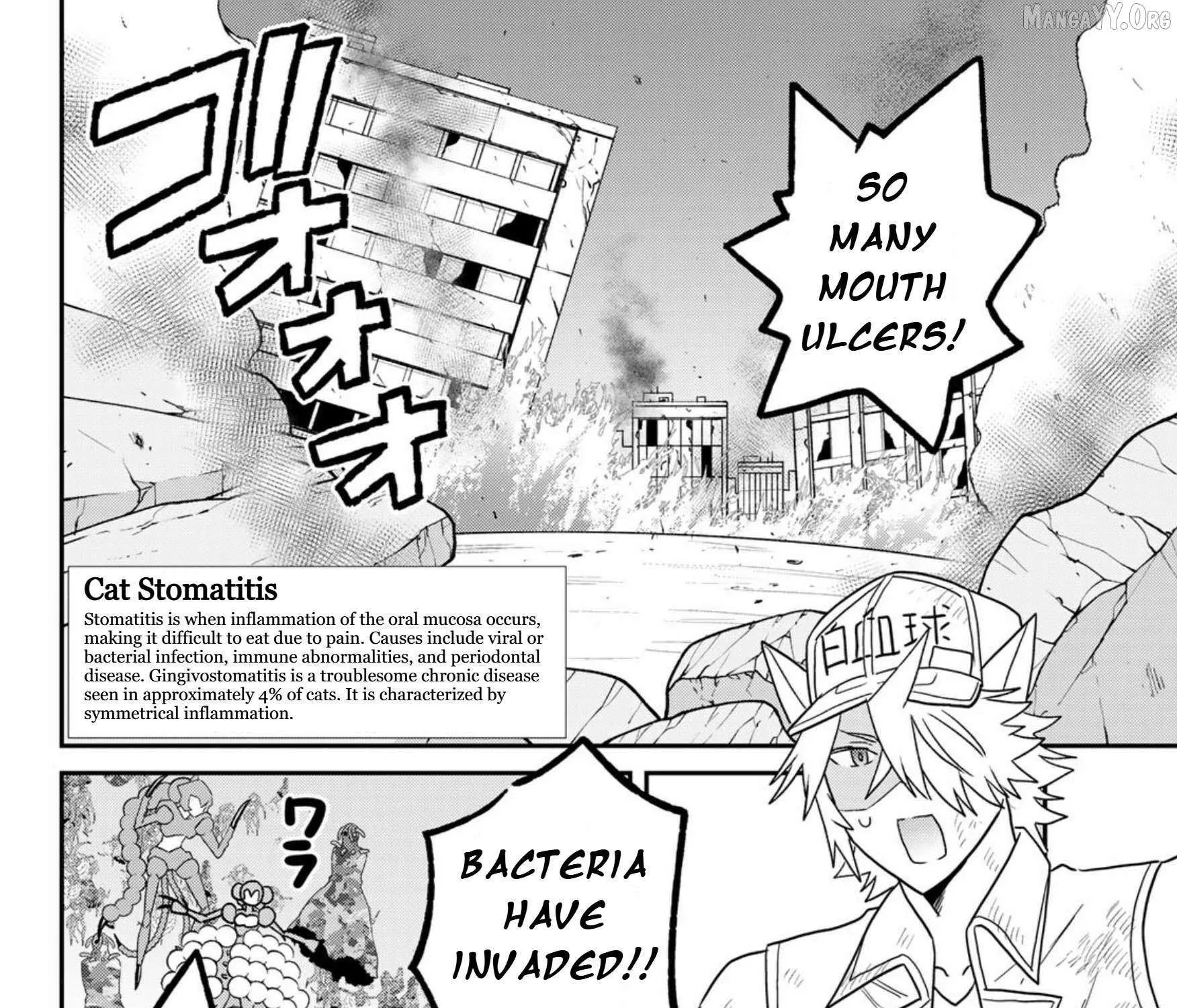Read Cells at Work! Cat chapter 24 image 7 on Lezhin