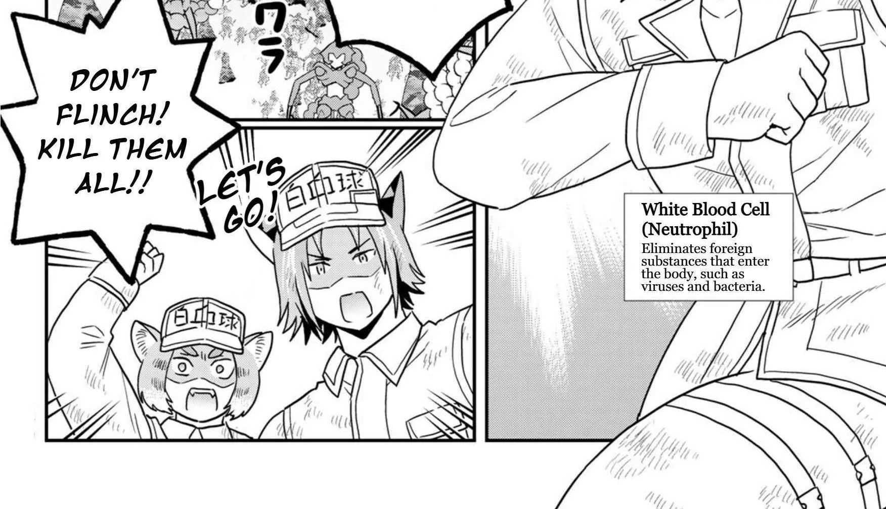 Read Cells at Work! Cat chapter 24 image 8 on Lezhin