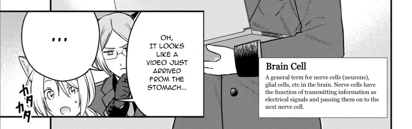 Read Cells at Work! Cat chapter 3 image 12 on Lezhin