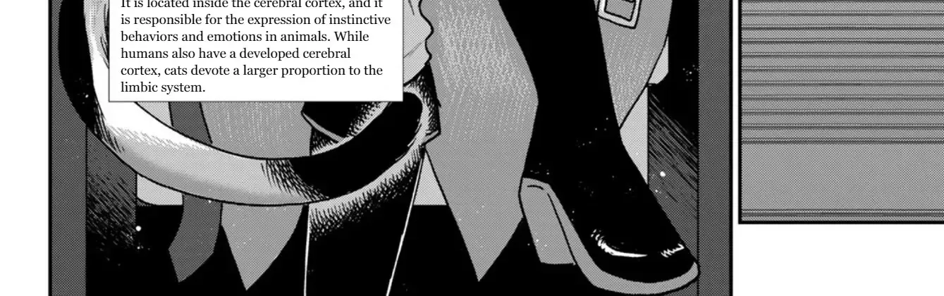 Read Cells at Work! Cat chapter 3 image 18 on Lezhin