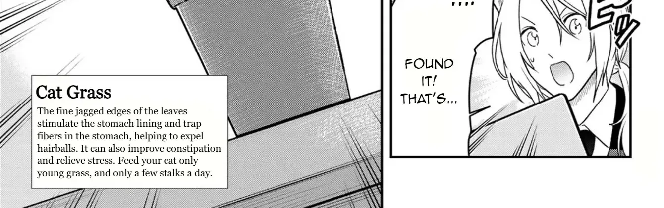Read Cells at Work! Cat chapter 3 image 40 on Lezhin