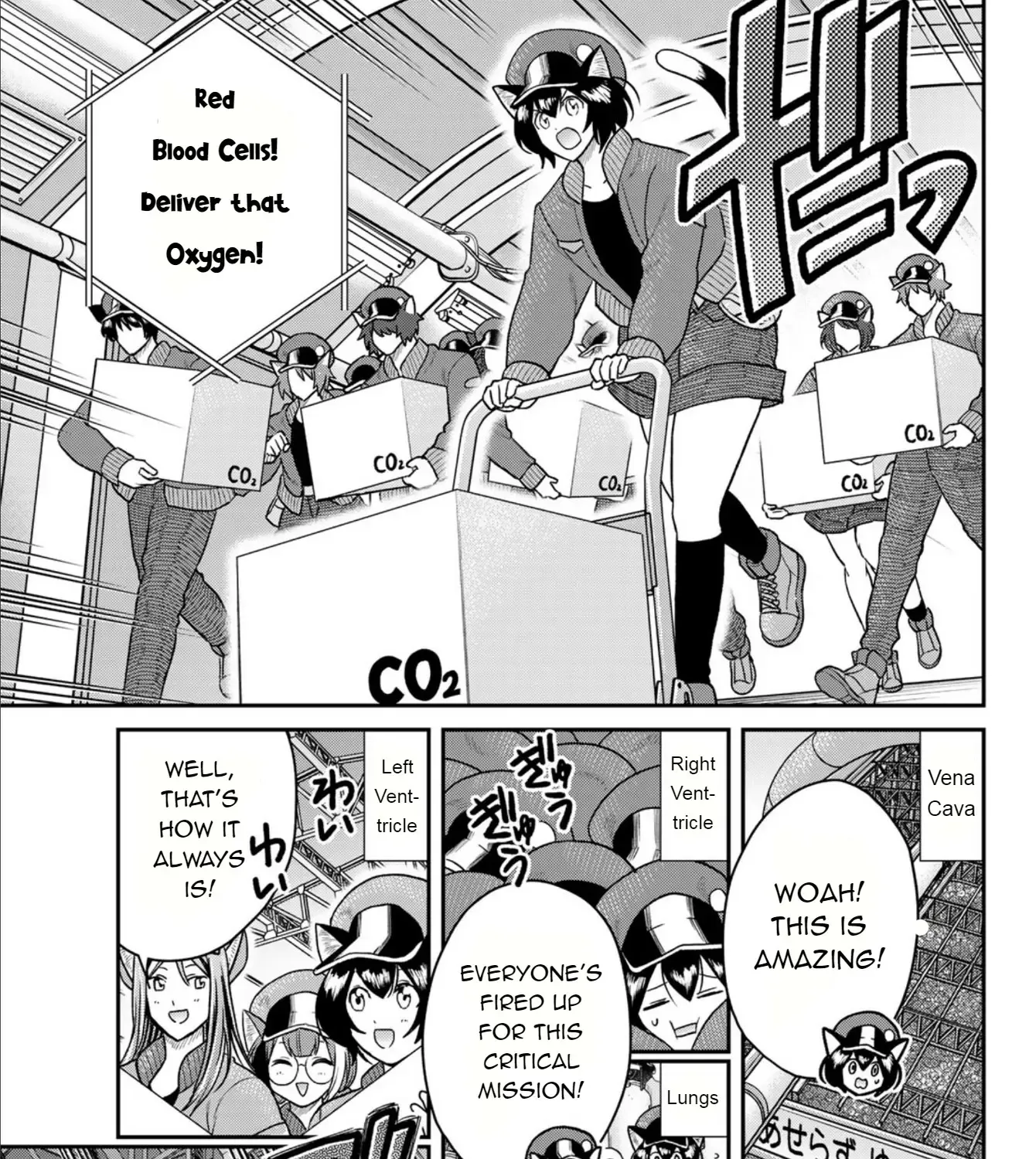 Read Cells at Work! Cat chapter 3 image 47 on Lezhin