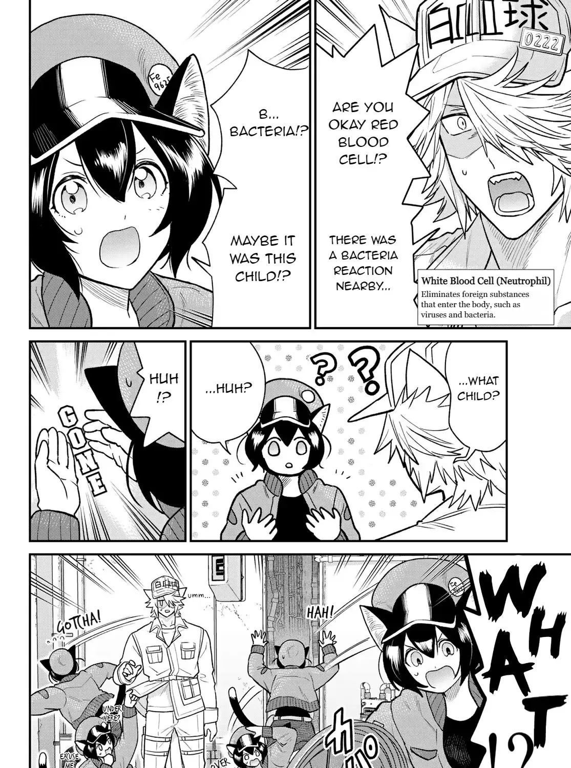 Read Cells at Work! Cat chapter 4 image 11 on Lezhin
