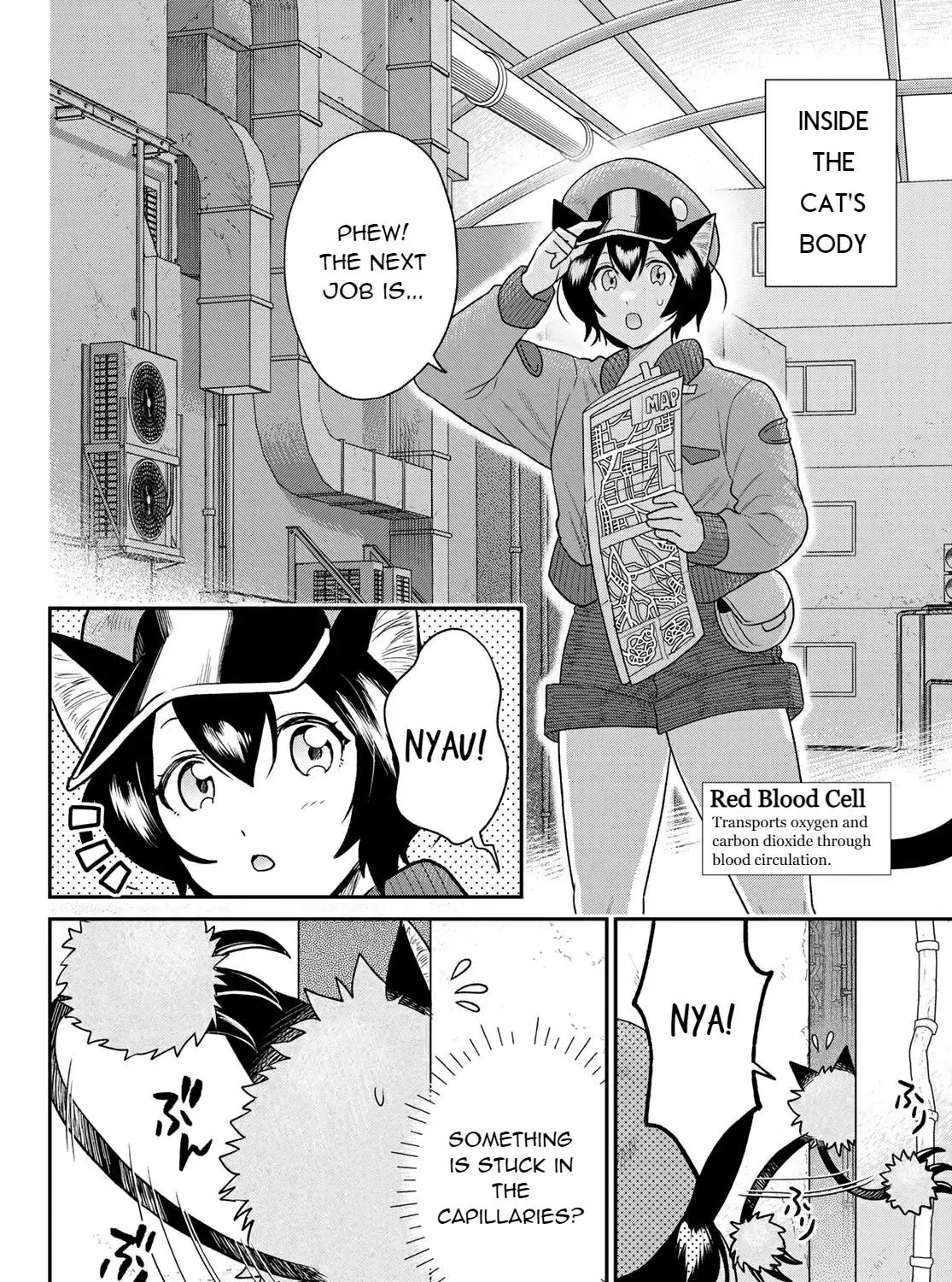 Read Cells at Work! Cat chapter 4 image 7 on Lezhin