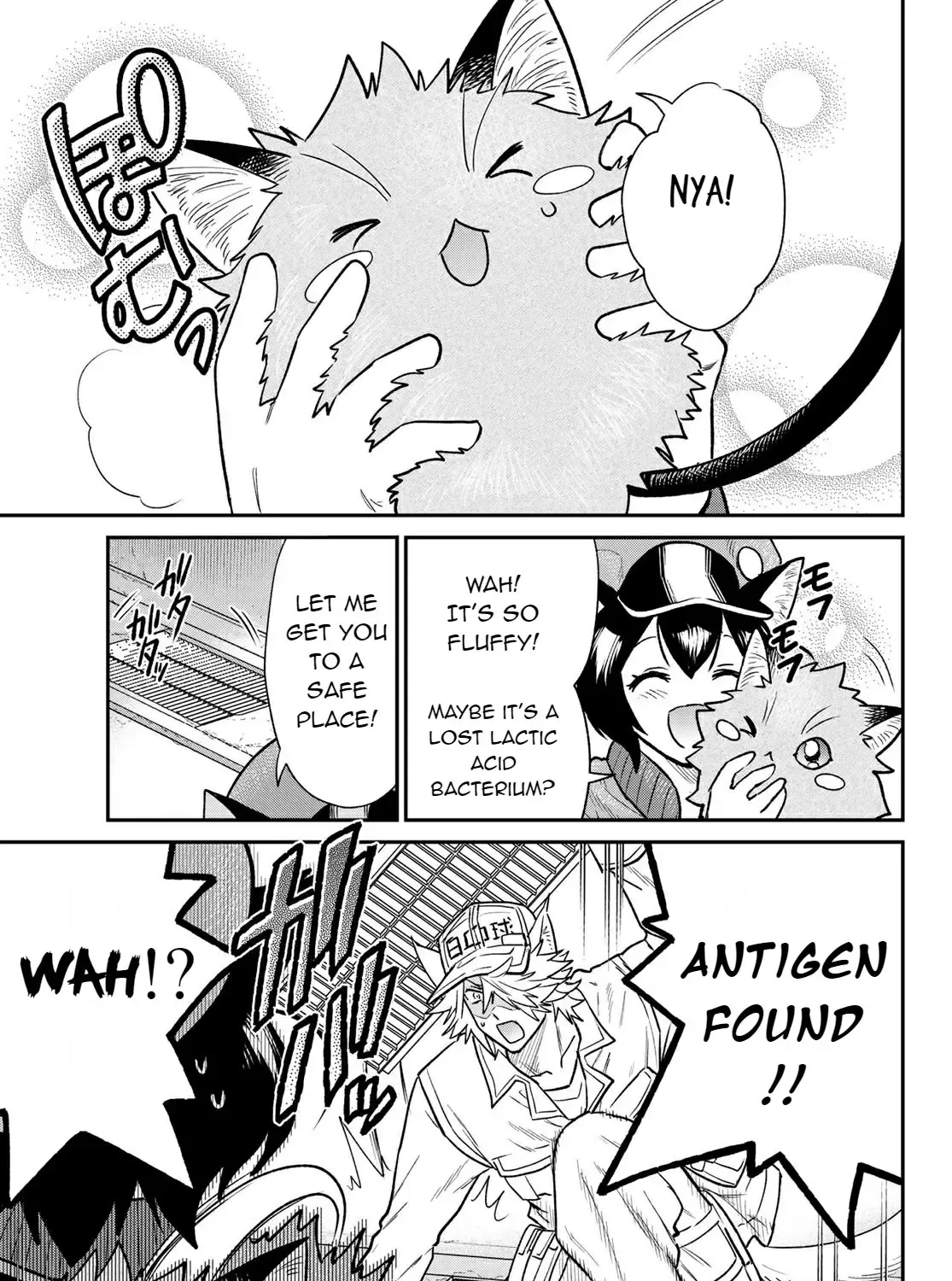 Read Cells at Work! Cat chapter 4 image 9 on Lezhin