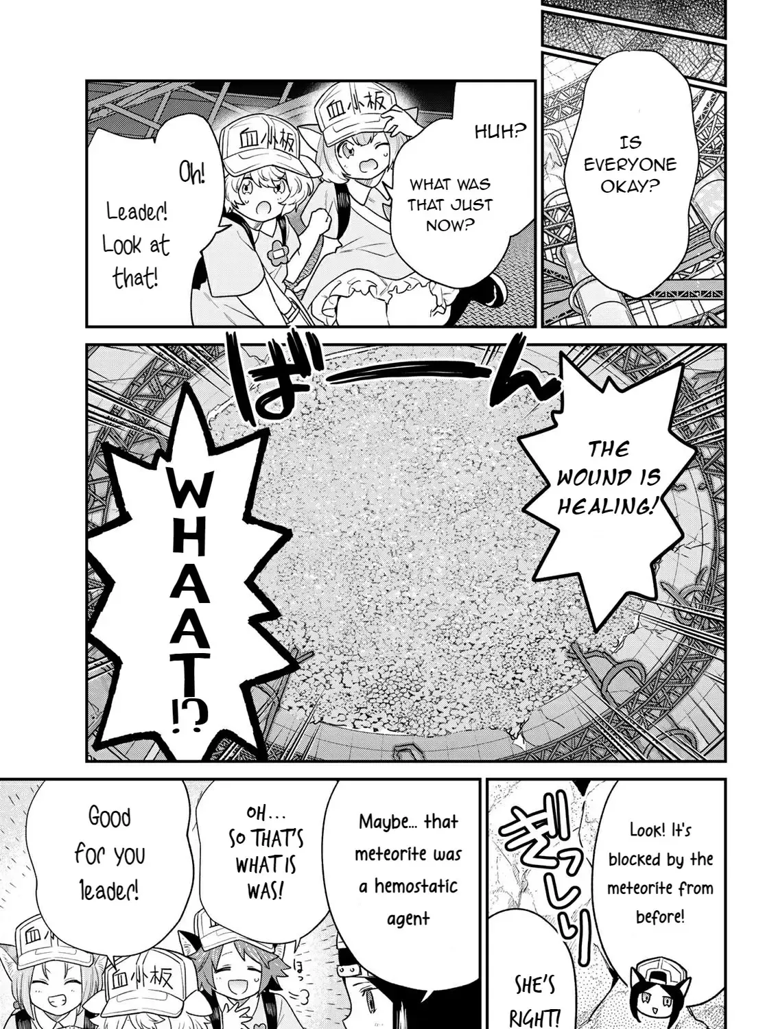 Read Cells at Work! Cat chapter 5 image 28 on Lezhin