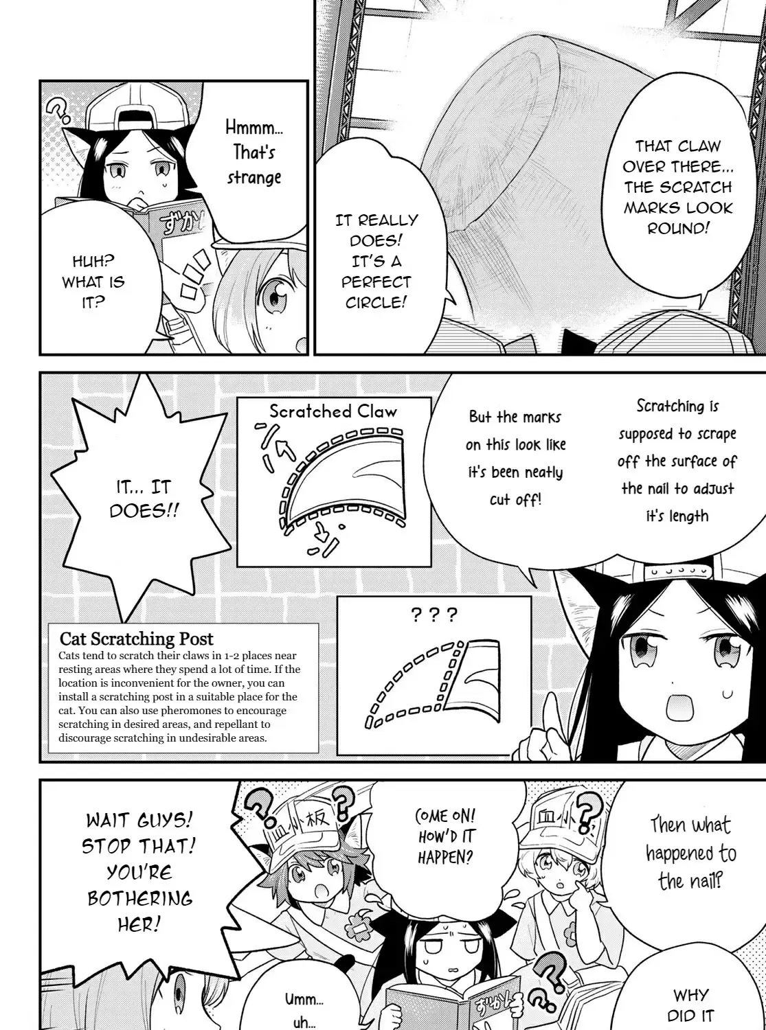 Read Cells at Work! Cat chapter 5 image 6 on Lezhin