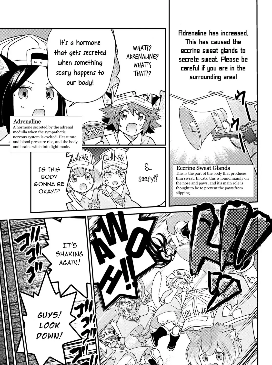 Read Cells at Work! Cat chapter 5 image 8 on Lezhin