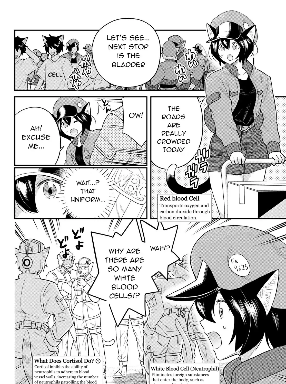 Read Cells at Work! Cat chapter 6 image 14 on Lezhin