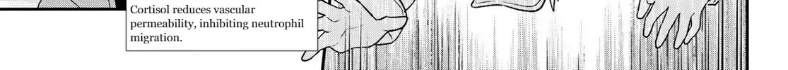 Read Cells at Work! Cat chapter 6 image 17 on Lezhin