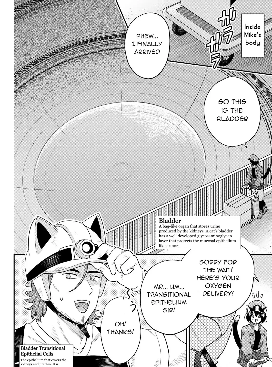 Read Cells at Work! Cat chapter 6 image 26 on Lezhin