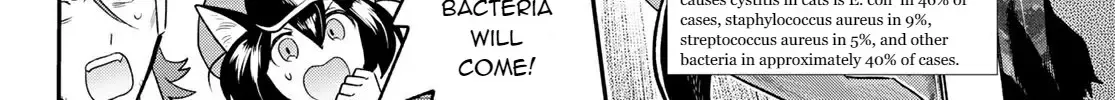 Read Cells at Work! Cat chapter 6 image 31 on Lezhin