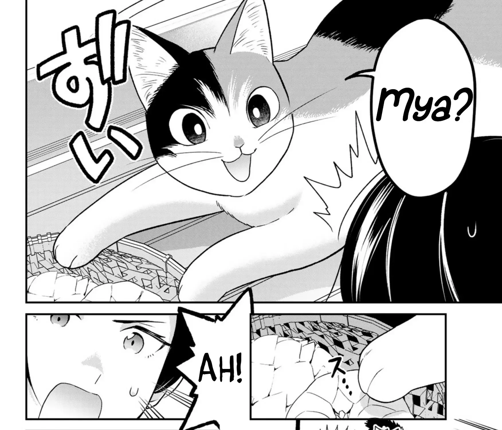 Read Cells at Work! Cat chapter 7 image 10 on Lezhin