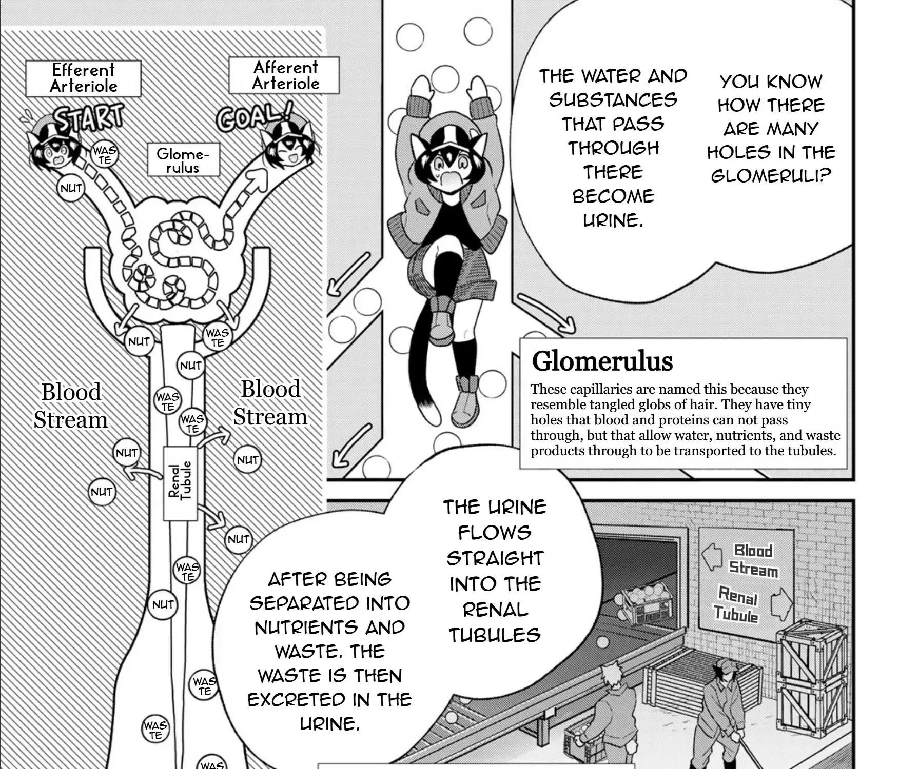 Read Cells at Work! Cat chapter 7 image 20 on Lezhin