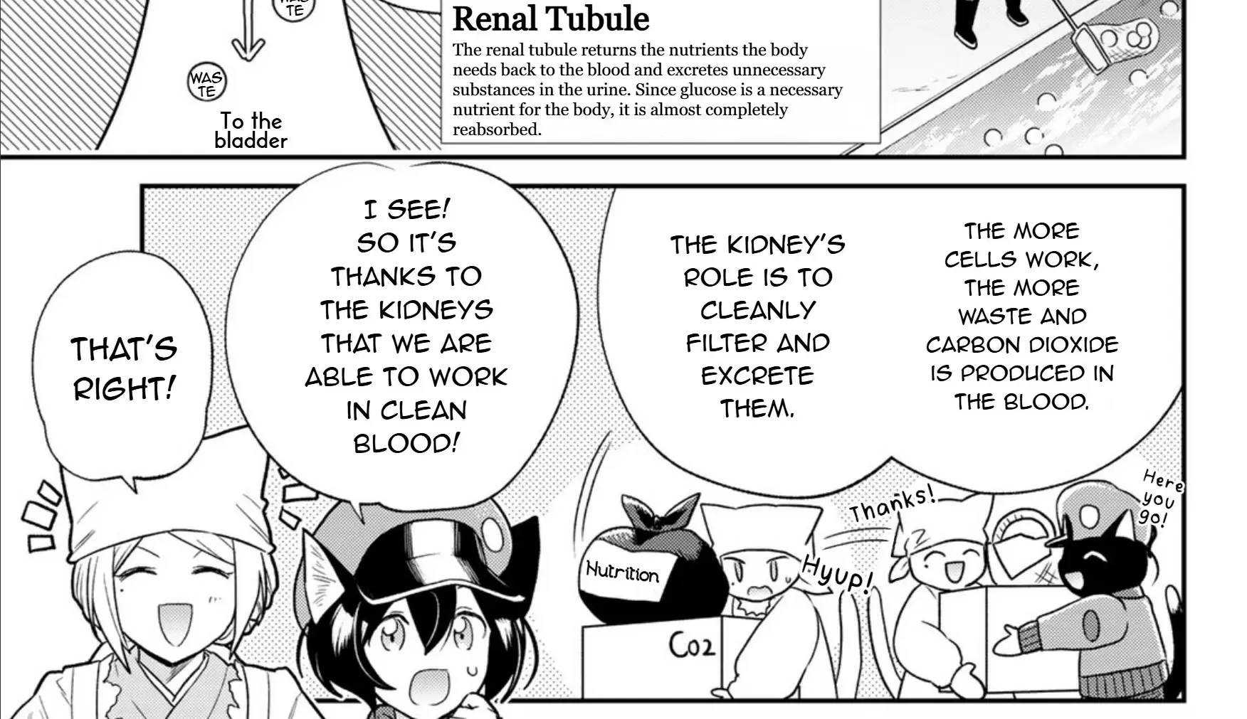 Read Cells at Work! Cat chapter 7 image 21 on Lezhin