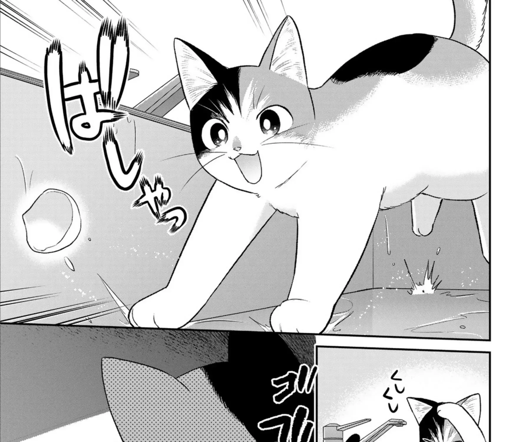 Read Cells at Work! Cat chapter 7 image 24 on Lezhin