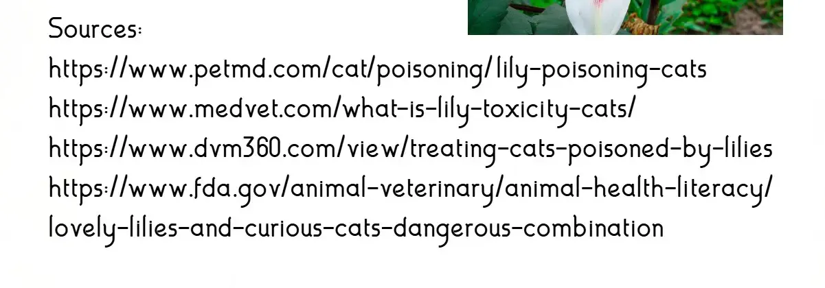 Read Cells at Work! Cat chapter 7 image 3 on Lezhin