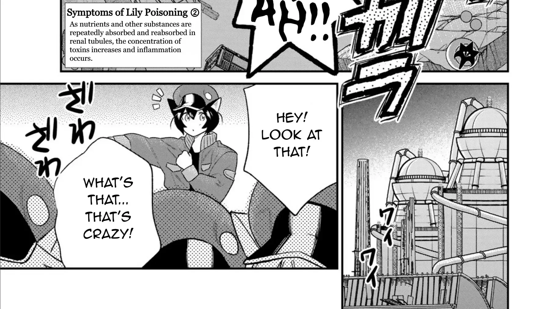 Read Cells at Work! Cat chapter 7 image 45 on Lezhin
