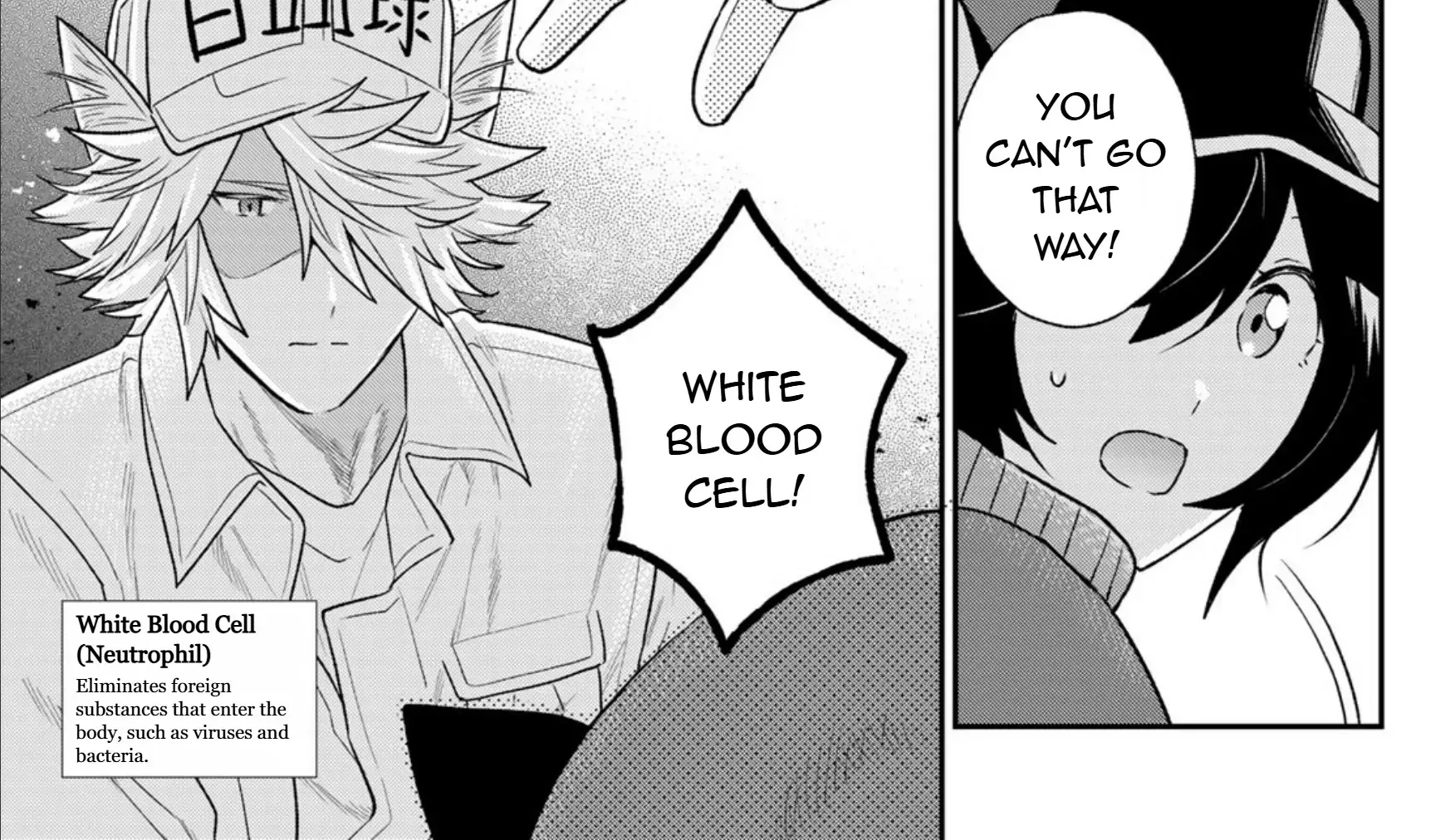 Read Cells at Work! Cat chapter 7 image 49 on Lezhin
