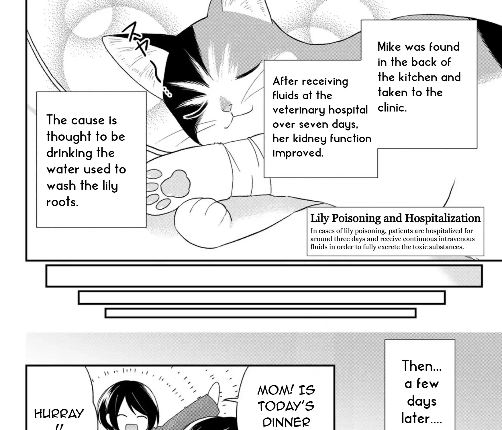 Read Cells at Work! Cat chapter 7 image 62 on Lezhin