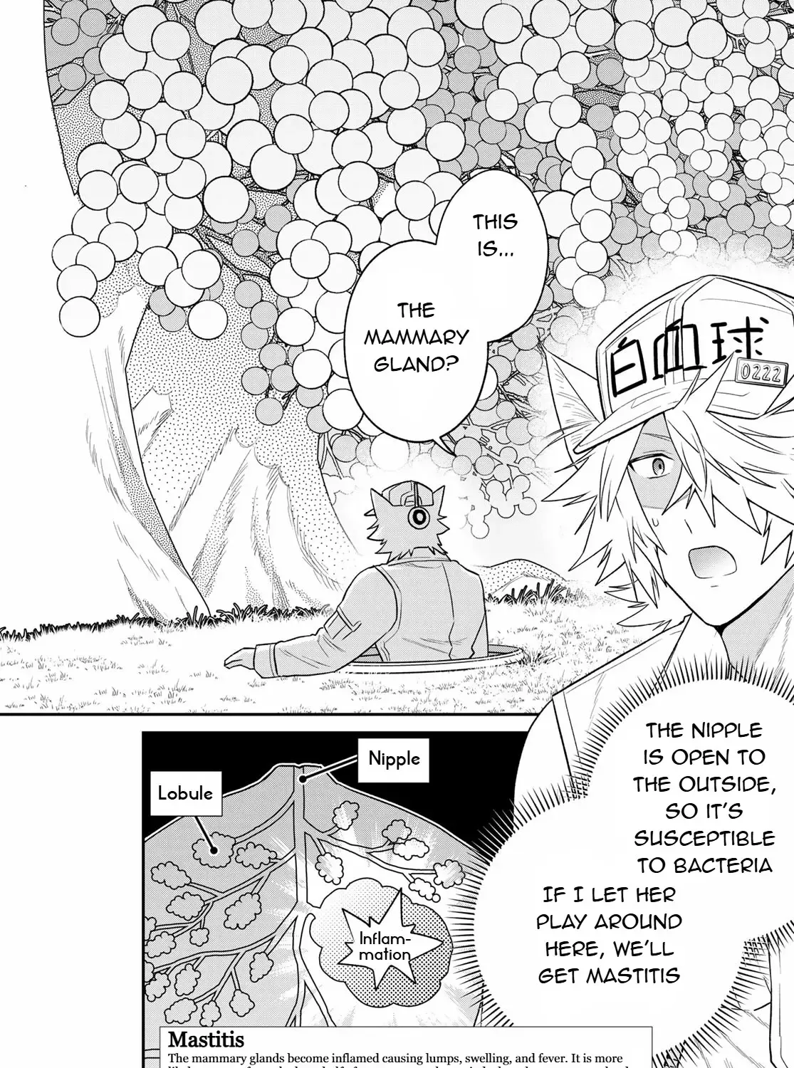 Read Cells at Work! Cat chapter 8 image 14 on Lezhin
