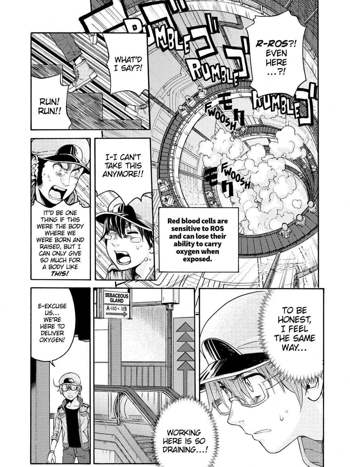 Read Cells at Work! CODE BLACK chapter 15 image 16 on Lezhin