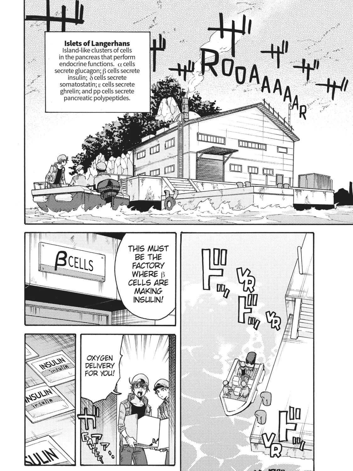 Read Cells at Work! CODE BLACK chapter 18 image 32 on Lezhin