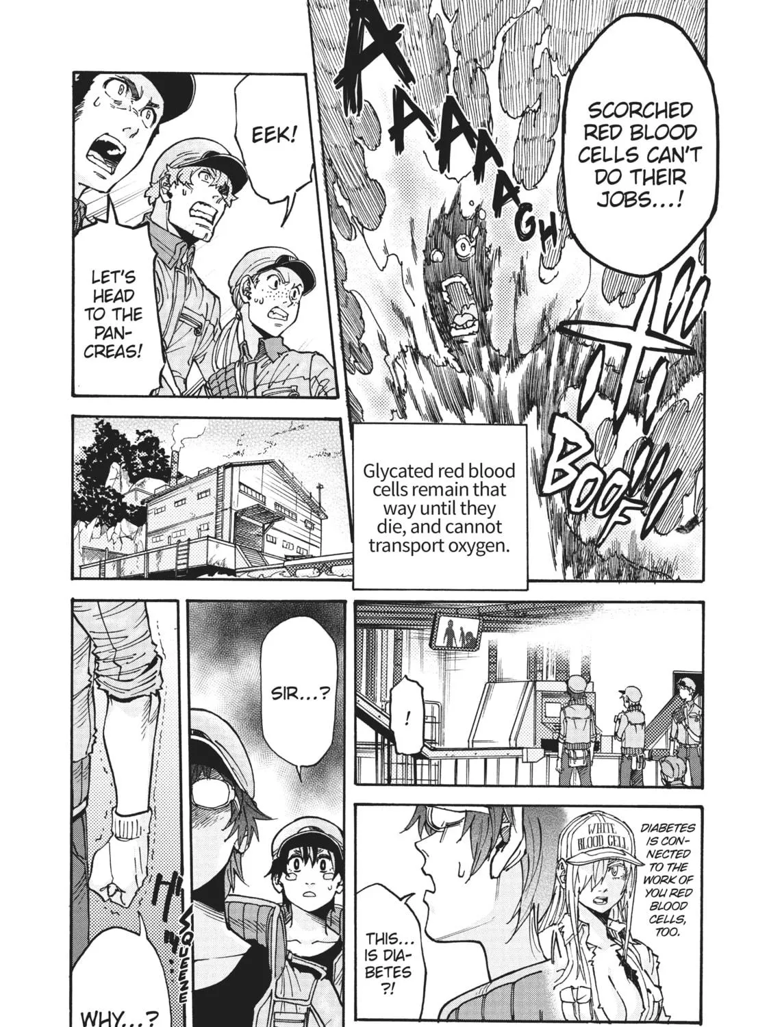 Read Cells at Work! CODE BLACK chapter 19 image 22 on Lezhin