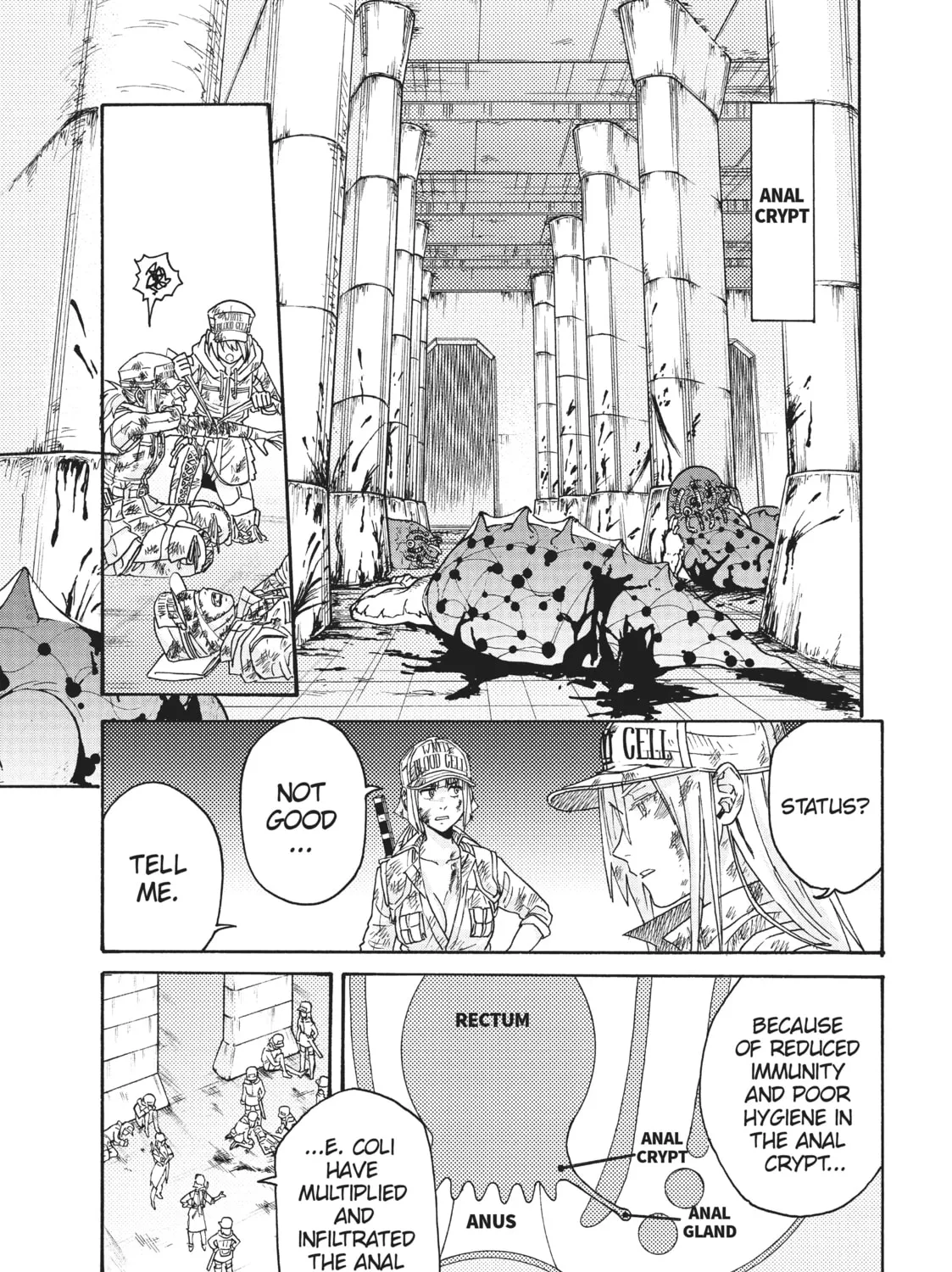 Read Cells at Work! CODE BLACK chapter 21 image 20 on Lezhin