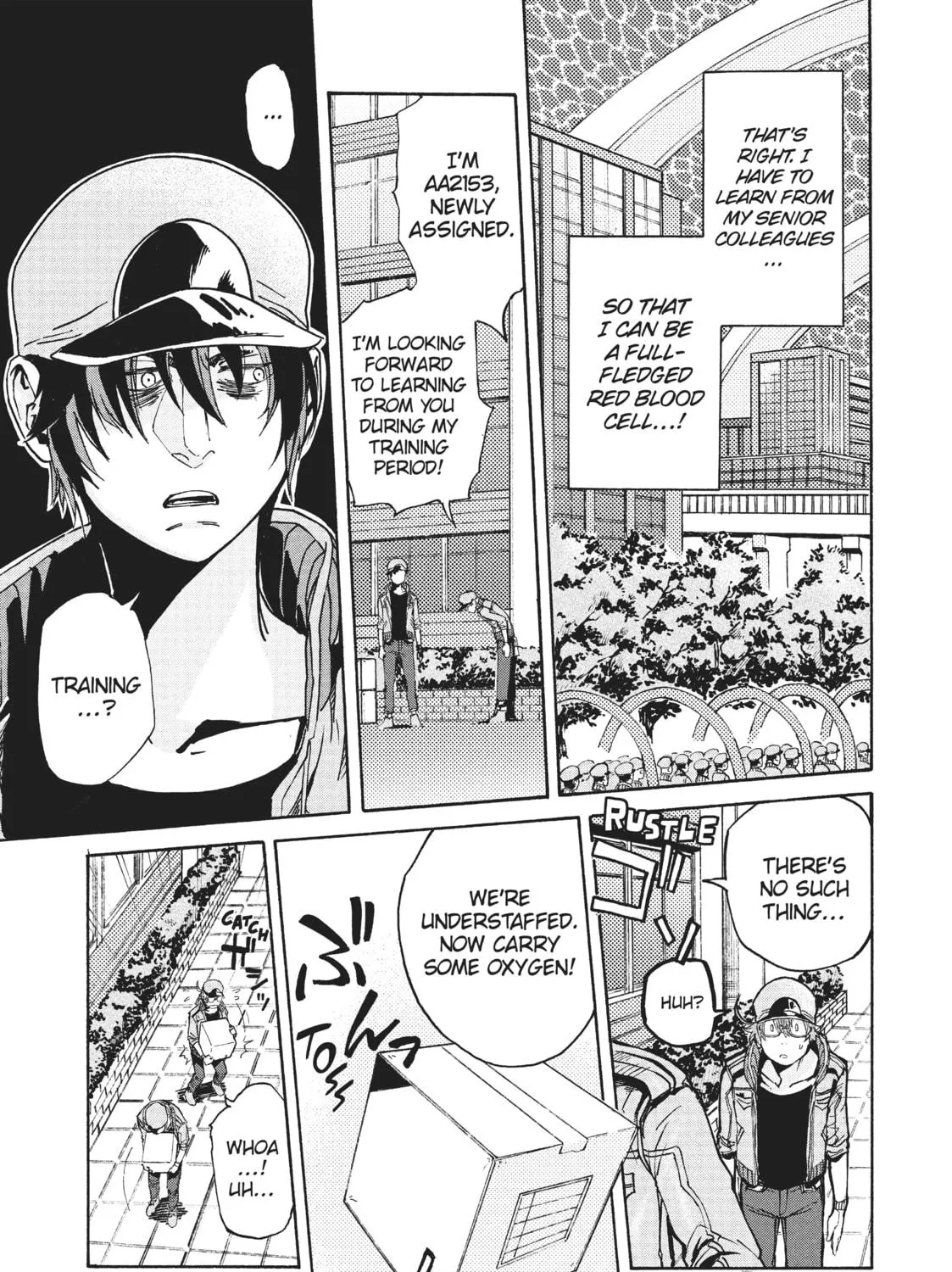 Read Cells at Work! CODE BLACK chapter 24.5 image 4 on Lezhin