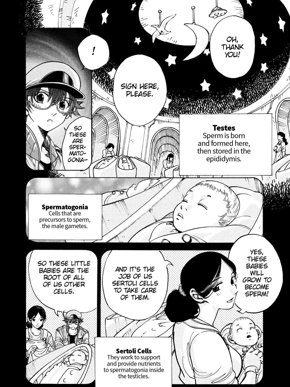 Read Cells at Work! CODE BLACK chapter 3 image 16 on Lezhin