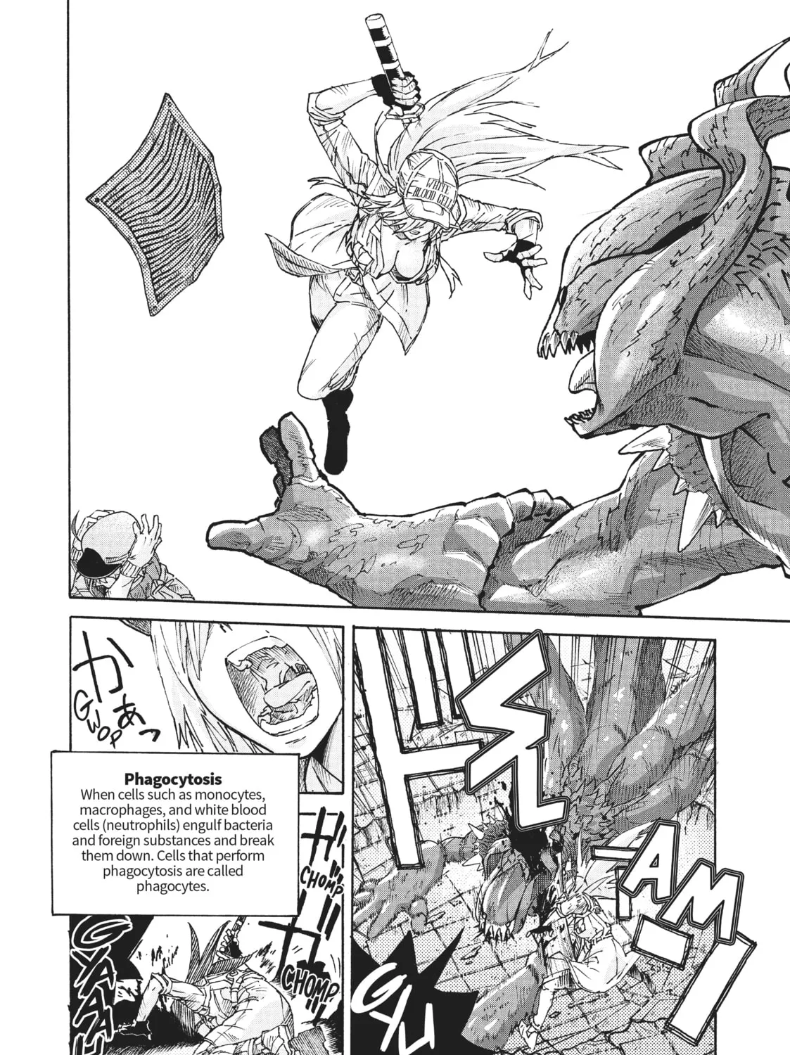 Read Cells at Work! CODE BLACK chapter 31.5 image 6 on Lezhin