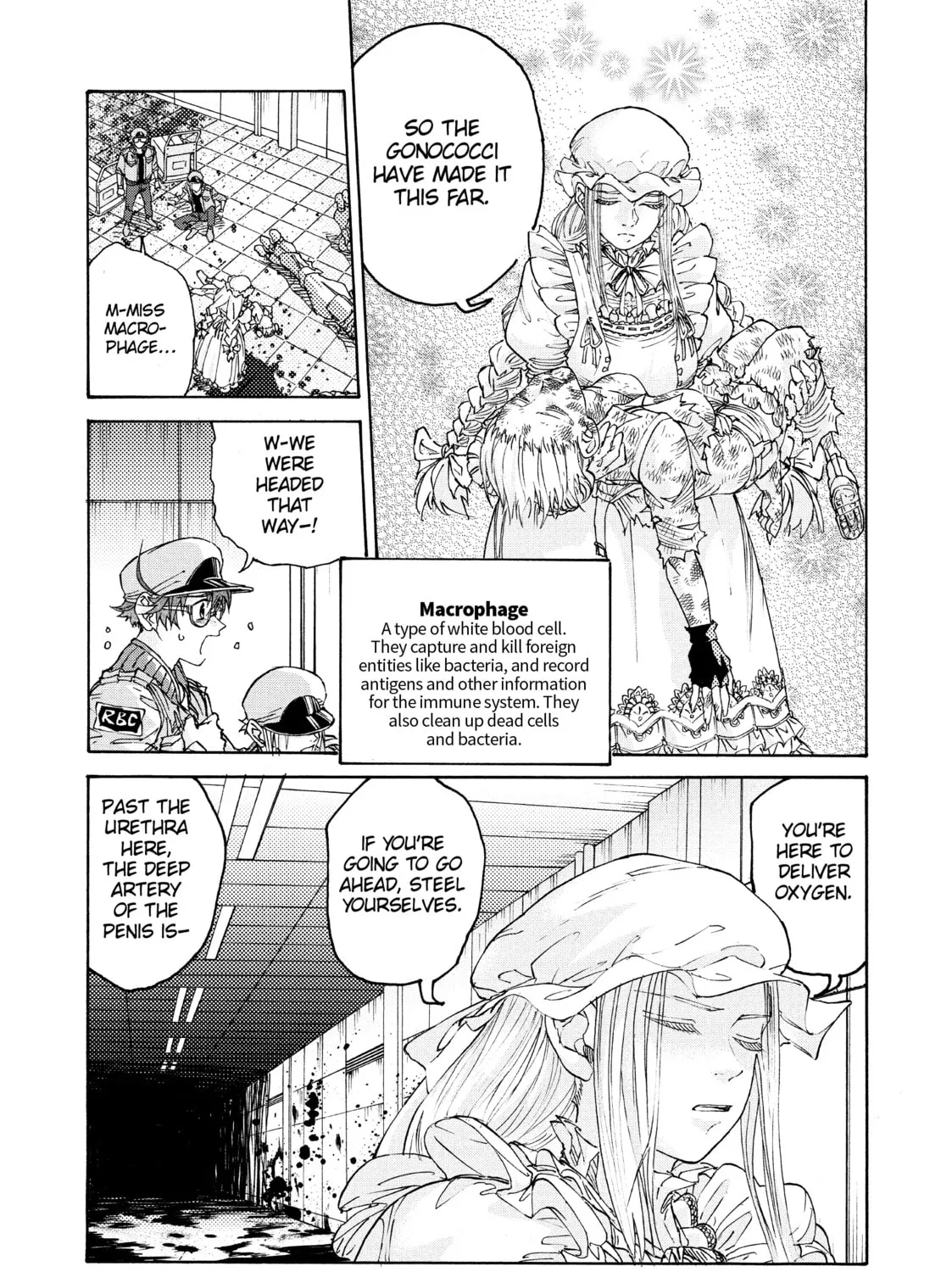 Read Cells at Work! CODE BLACK chapter 4 image 24 on Lezhin