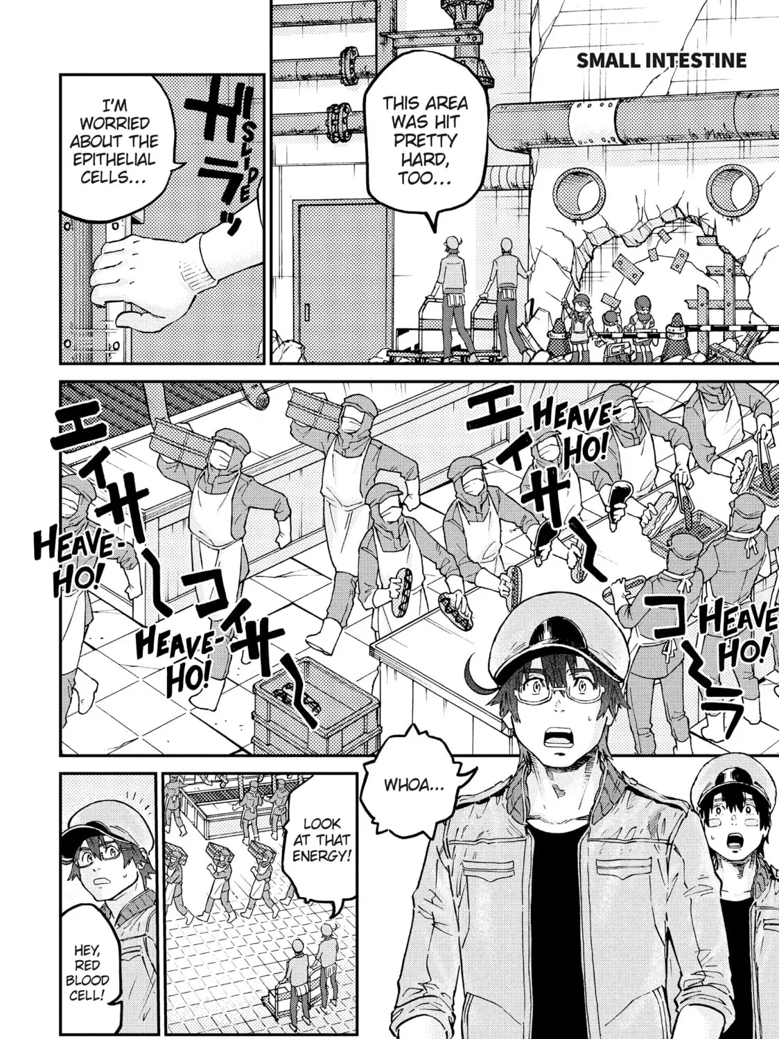 Read Cells at Work! CODE BLACK chapter 45 image 6 on Lezhin