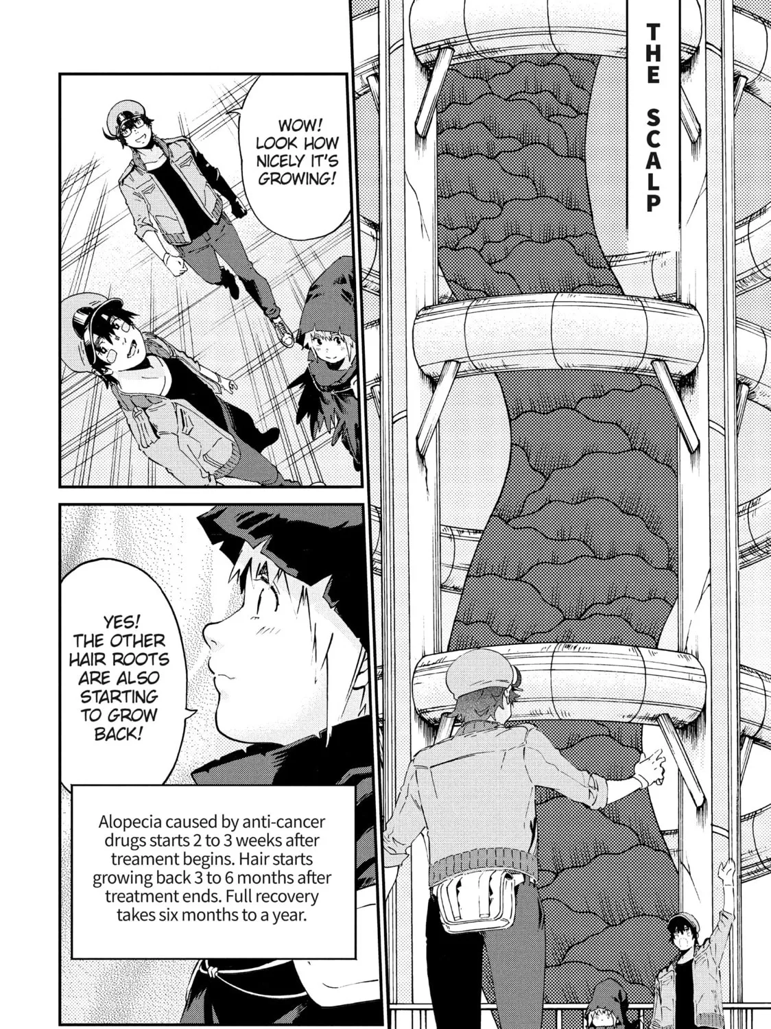 Read Cells at Work! CODE BLACK chapter 47 image 2 on Lezhin